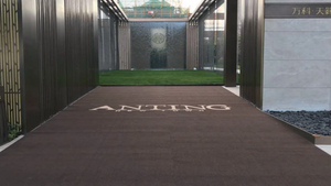 Anpassbarer Samtteppich mit Logo-Schnitt, rutschfeste PVC-Rückseite, vollständig abgedeckter Teppich für Geschäftsbüros