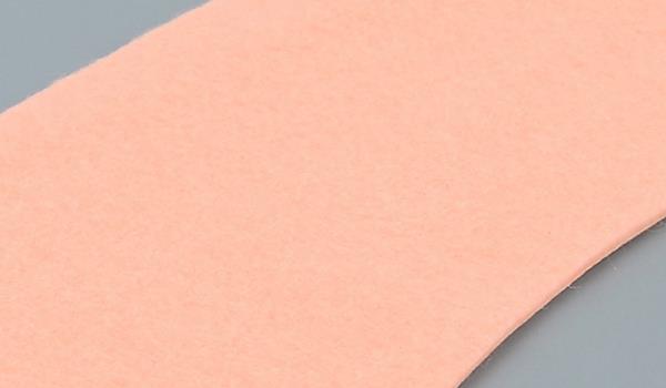 Nahaufnahme des RATO-Toilettensitzes