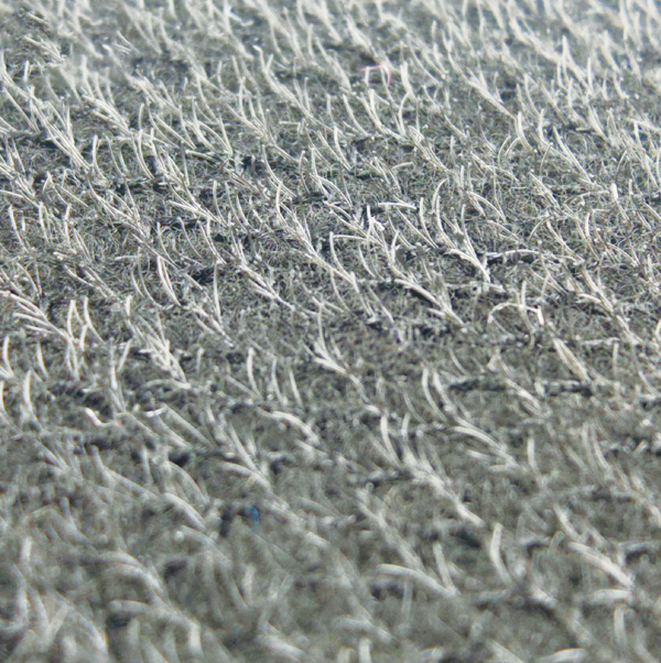 Geckos Pfotenr&uuml;cken(1).jpg